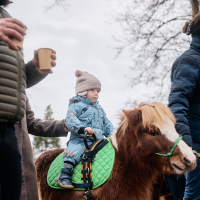 2024_11_24 Vánoční jarmark 47.jpg