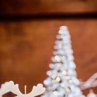 2024_11_24 Vánoční jarmark 57.jpg