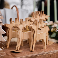 2024_11_24 Vánoční jarmark 66.jpg