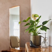 2025_09_12 MVS_pokoje a krabičky 20.jpg