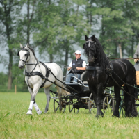 2011-06-04-15-hobby-konske-zavody-55.jpg