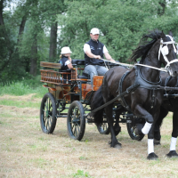 2011-06-04-16-hobby-konske-zavody-71.jpg