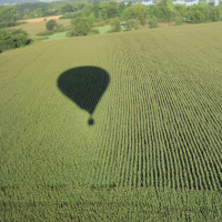 2011-08-20-34-balony.jpg