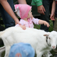 2012-09-11-07-41-42-narozeniny-vodnika-slamy-33.jpg